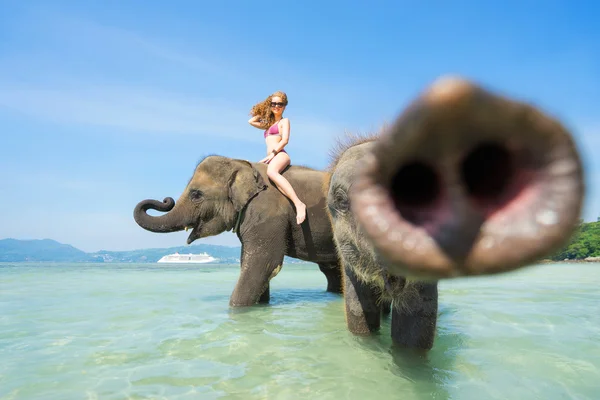 Žena a slon — Stock fotografie
