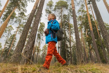 Orman çocuğu Gezgin 