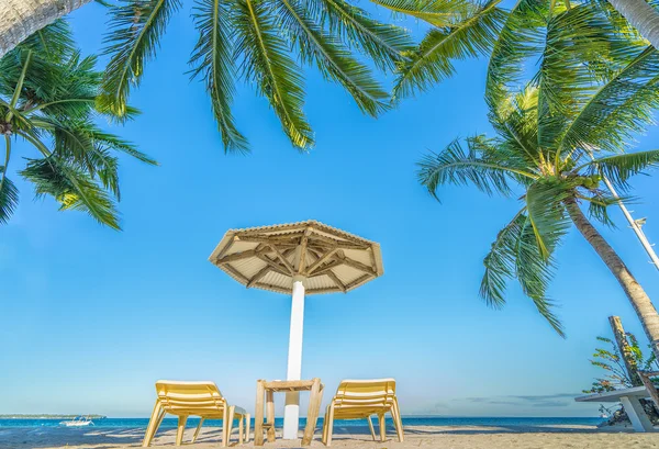 Mare, sedie a sdraio, sabbia e palme . — Foto Stock