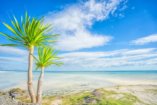 Beautiful beach  landscape — Stock Photo, Image