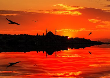 Istanbul silhouette on sunset  clipart