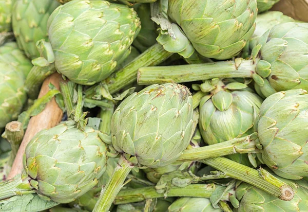  Satılık taze enginar