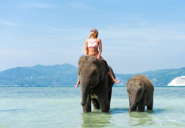  kadın fil üzerinde