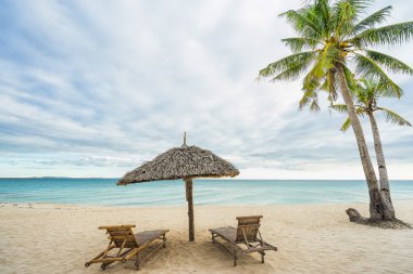 İki sandalye, şemsiye ve Coconut palm beach
