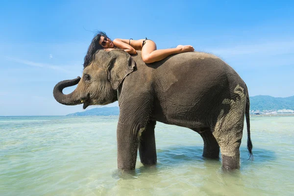 Žena na slona — Stock fotografie
