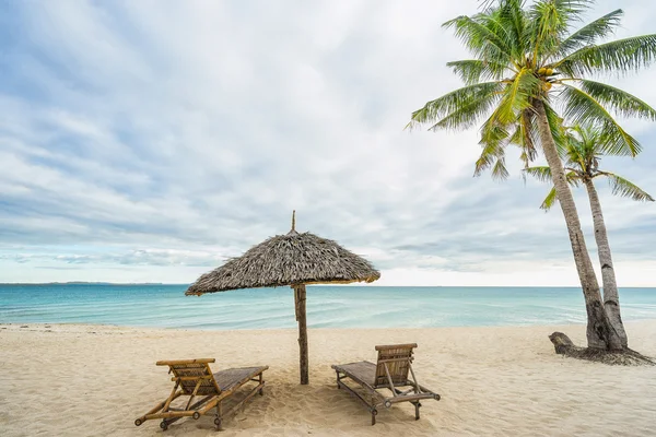 Two beach chairs, umbrella and Coconut palm — Stock Photo, Image