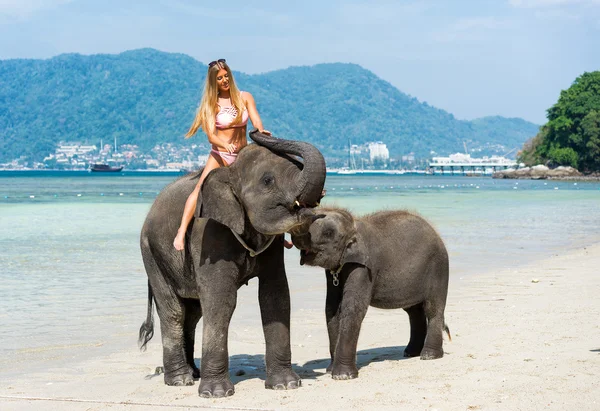 Mujer en elefante Fotos De Stock Sin Royalties Gratis