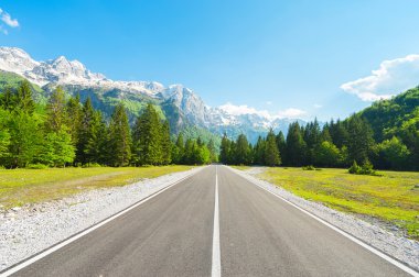 Dağ orman yol