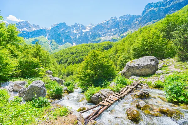 Köprü ve Valbona valley stream — Stok fotoğraf