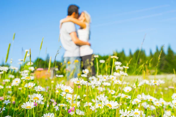 Пара поцелуев на поле — стоковое фото