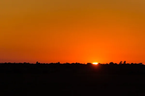 Yatay siluet orman ve köy arka plan üzerinde sakin sıcak günbatımı
