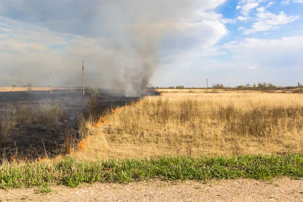Geçen yılki çim sahada yanma