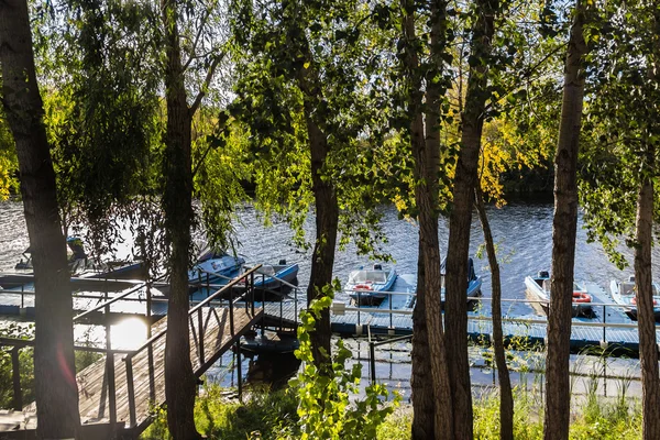 Nehir ve küçük tekne manzaralı ağacı'nın gölge güneşli bir günde