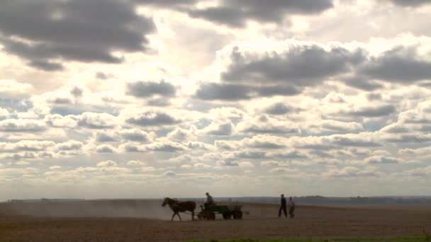 Een oude kar gaan over het veld — Stockvideo