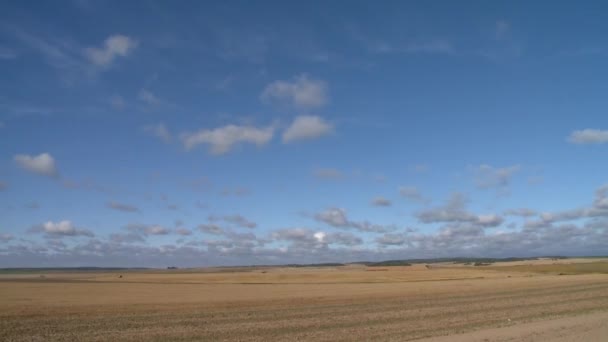 Üres mező Kelet-Európában — Stock videók