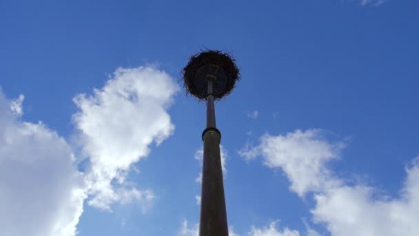 Un nido abbandonato e solitario si trova nel mezzo di un campo di grano in una giornata grigia — Video Stock