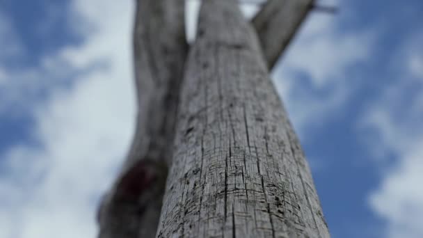 Osamělý opuštěného domu sedí uprostřed pole pšenice na bouřlivý šedivý den — Stock video