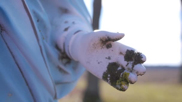 En ensam övergiven staty sitter i mitten ett vete fält på en blåsig grå dag — Stockvideo