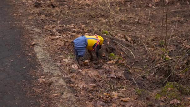 la jeune fille se promène dans les bois en automne 