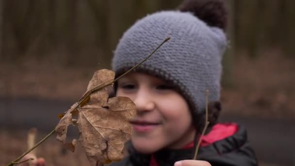 Dívka chodí přes les na podzim — Stock video