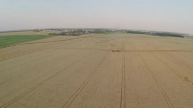 Buğday hasat shearers