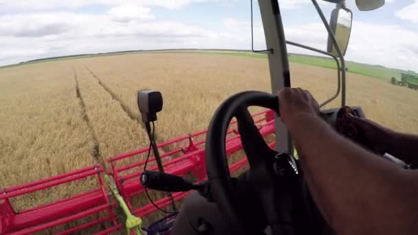 小麦收获采煤机 — 图库视频影像