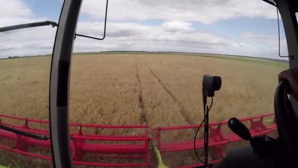 小麦收获采煤机 — 图库视频影像