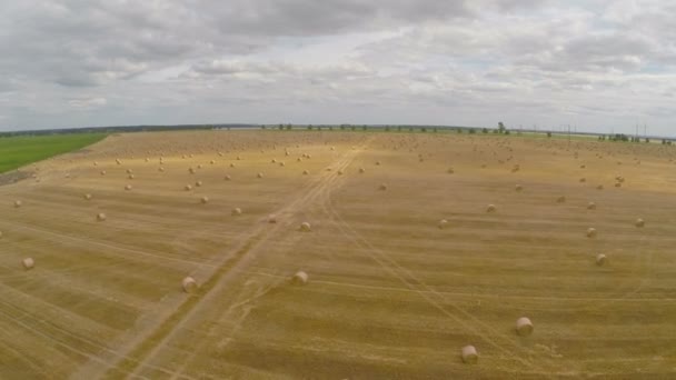 Voar sobre a agricultura de campo — Vídeo de Stock