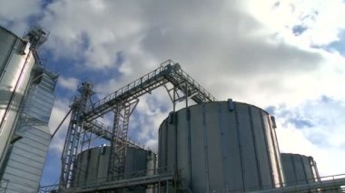  bitki hayvan timelapse için yem üretimi için