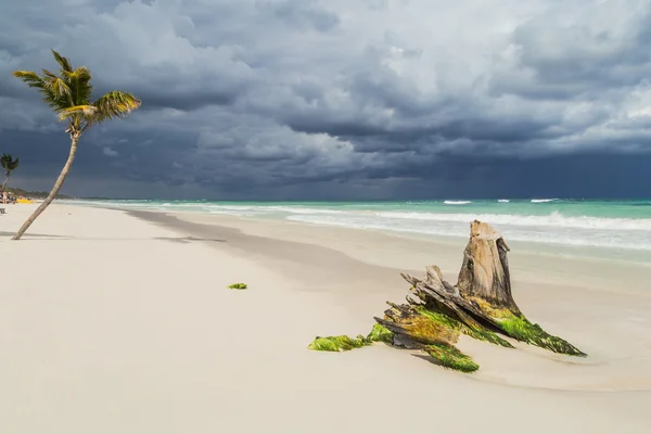 Güzel bir plaj. Denizin üzerinde fırtına gökyüzü