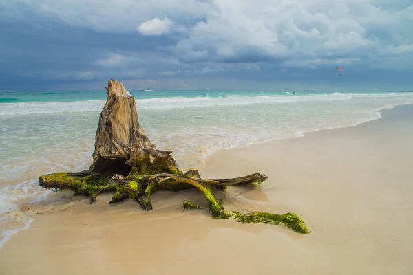Güzel bir plaj. Denizin üzerinde fırtına gökyüzü