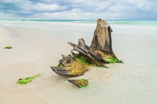 Güzel bir plaj. Denizin üzerinde fırtına gökyüzü