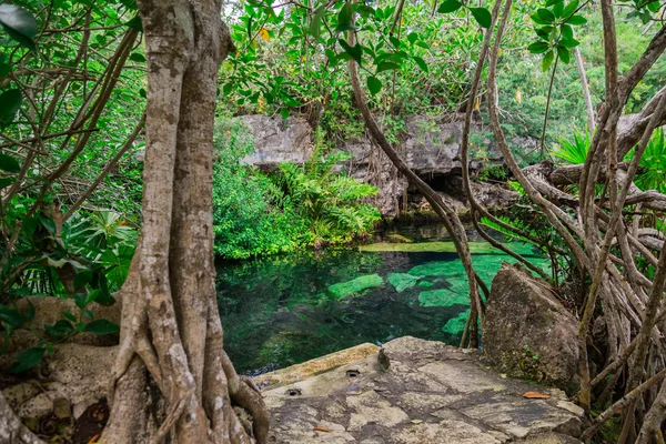Hipotermik lagün doğal / Lake