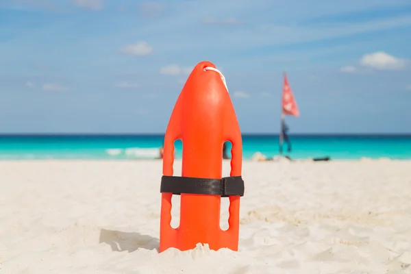 Cankurtaranlar sahilde. Deniz, okyanus