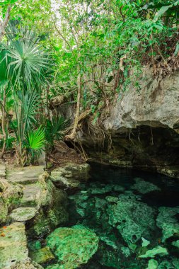 Hipotermik - lagün doğal kayalar ve tropikal bitki örtüsü ile çevrili şeffaf turkuaz su ile. Vahşi orman