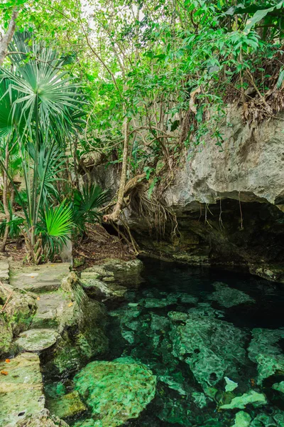 Hipotermik - lagün doğal kayalar ve tropikal bitki örtüsü ile çevrili şeffaf turkuaz su ile. Vahşi orman