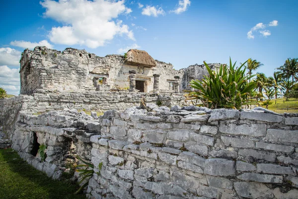 Maya harabelerini bir tulum. Eski şehir. Tulum sit alanı. Riviera Maya. Meksika