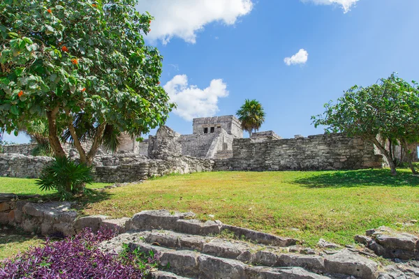 Maya harabelerini bir tulum. Eski şehir. Tulum sit alanı. Riviera Maya. Meksika