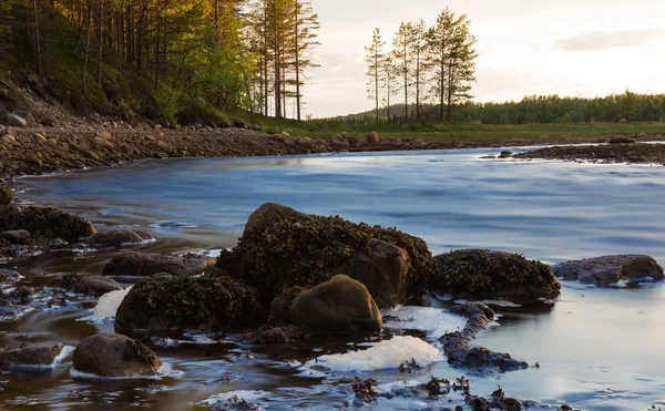 Kleiner Fluss mit dynamischem Wasser und Steinen im Vordergrund — Stockfoto