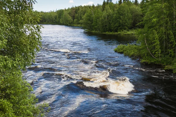 Ormandaki vahşi nehir