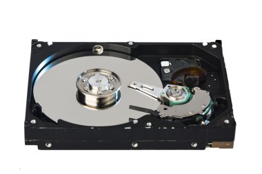 Dahili sabit disk Hdd içinde beyaz arka plan üzerinde
