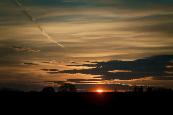 Sonnenuntergang mit Baumsilhouette, roter Sonne und schönem Himmel — Stockfoto