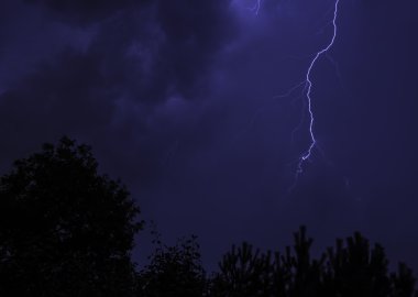 muhteşem Yıldırım ve ağaç siluetleri