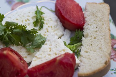 Sağlıklı gıda. Taze peynir, domates ve otlar ekmek ile