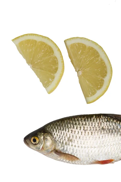 Čerstvé ryby s citrónem izolované na bílém — Stock fotografie