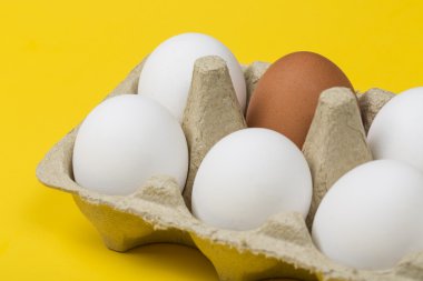 Tolerans kavramı. Kahverengi yumurta kutusundaki sarı arka plan üzerinde beyaz yumurta arasında