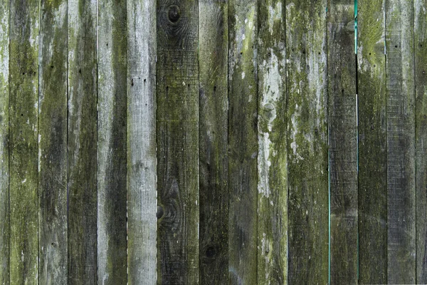 Old wood texture background, wooden board, rustic fence. — Stock Photo, Image