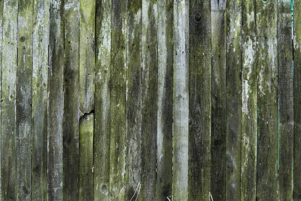 Old wood texture background, wooden board, rustic fence. — Stock Photo, Image