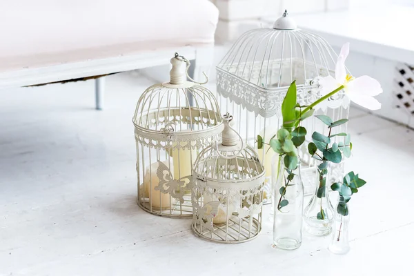 밝은 배경에 디자인 요소 birdcage 꽃 — 스톡 사진