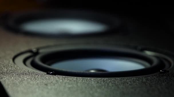 Vibration of the diffuser of a loudspeaker — Stock Video